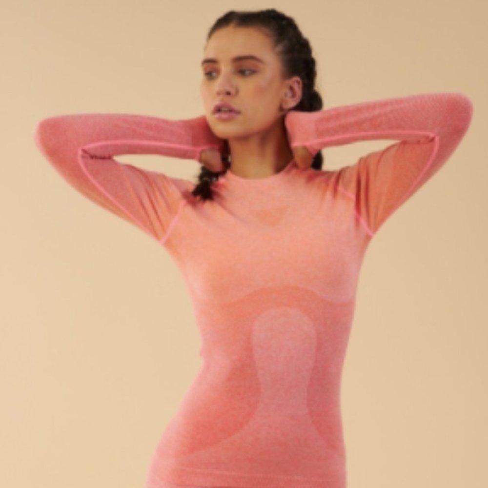 Gymshark Ombre Seamless Long Sleeve Top